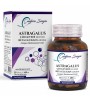 ASTRAGALUS ÇİN GEVENİ EKSTRESİ BETA GLUKAN KARIŞIMI